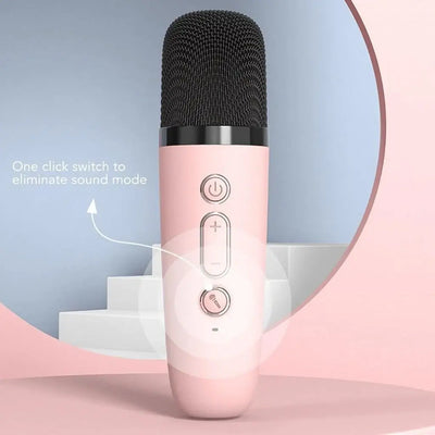 Portable and powerful karaoke speaker