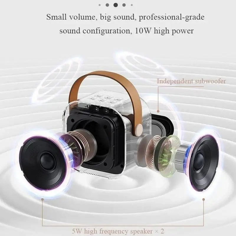 Wireless speaker + 1 mic included