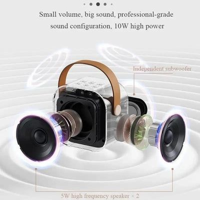 Wireless speaker + 1 mic included