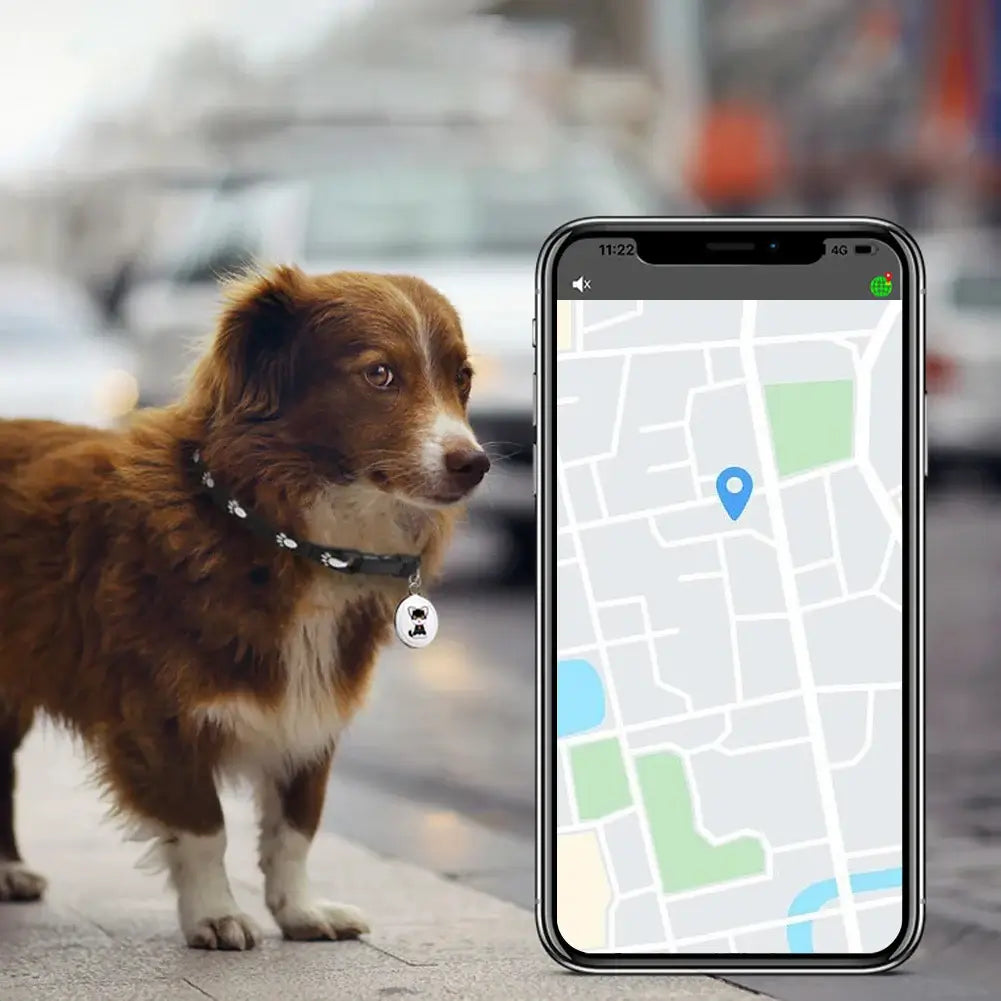 Track your pet anytime, anywhere