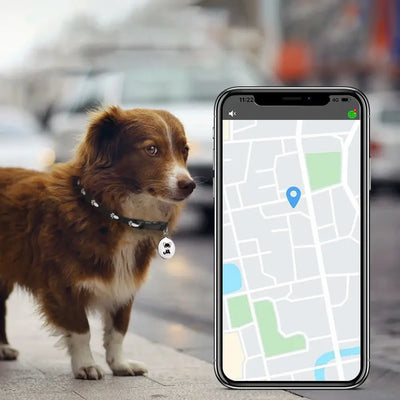 Track your pet anytime, anywhere