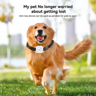 Monitor pet movement anytime, anywhere