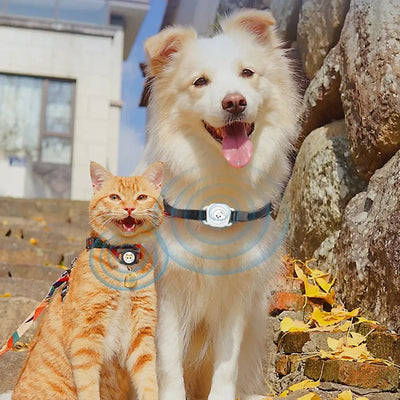 Anti-lost pet tracking solution