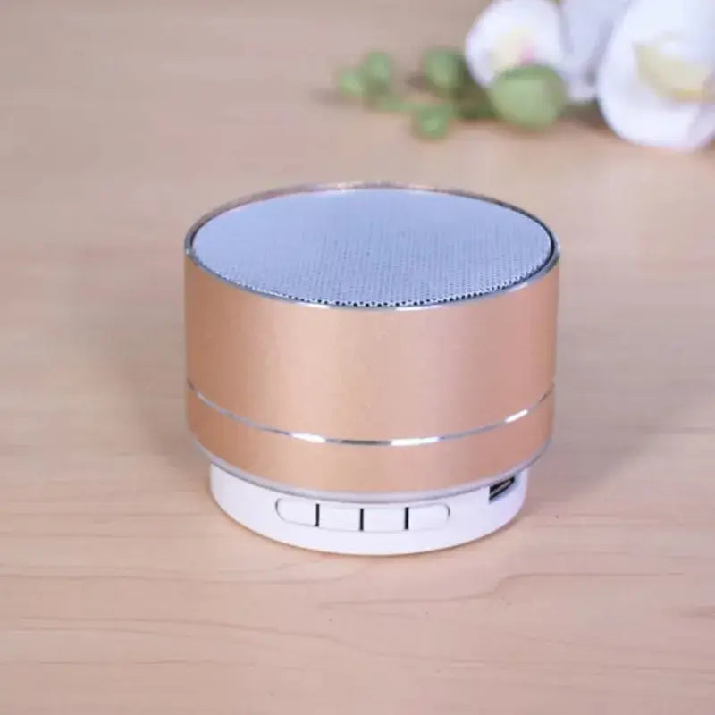 Outdoor music speaker with strong bass