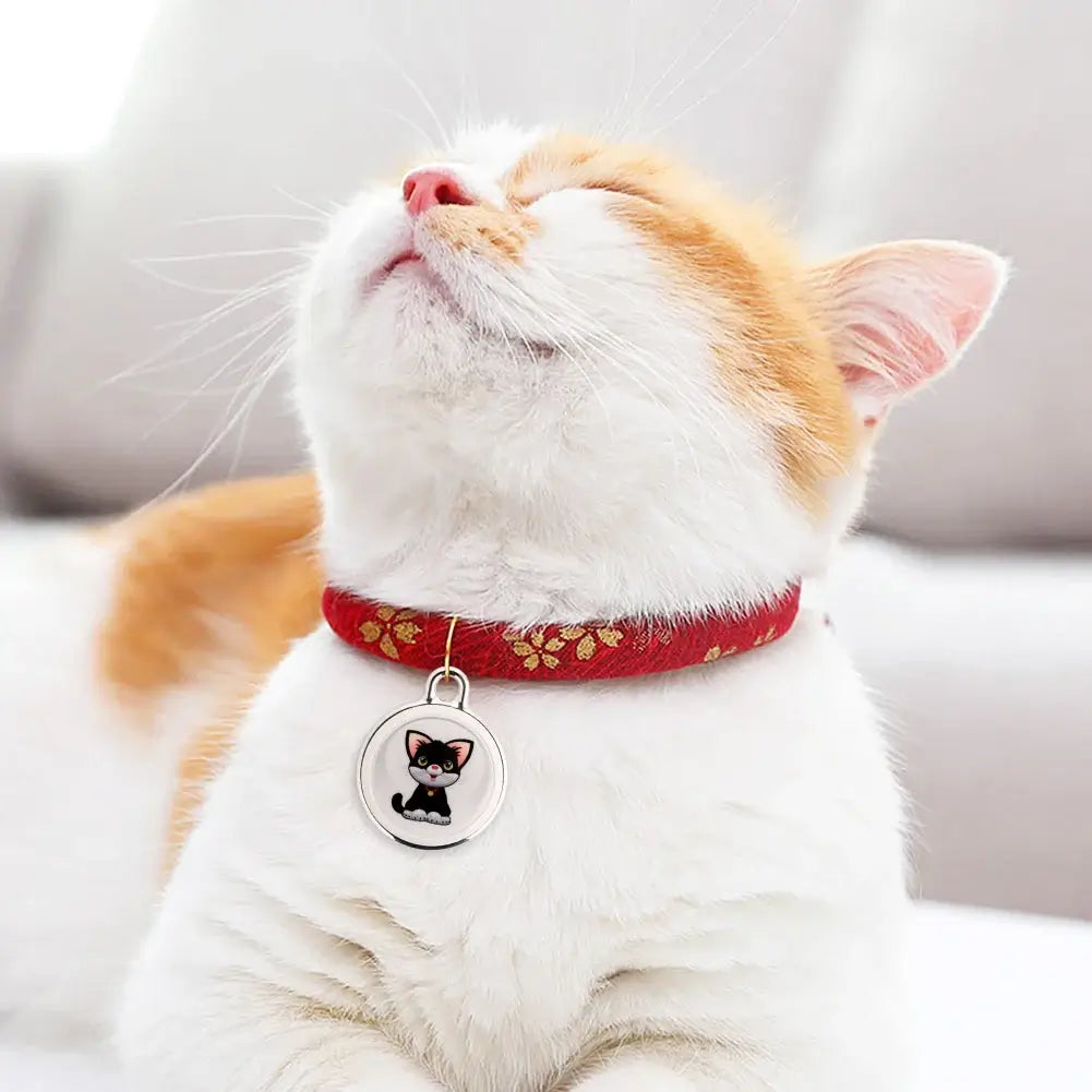 Durable design for active pets