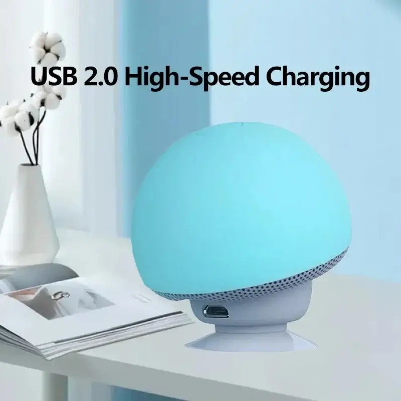 Portable outdoor Bluetooth speaker with subwoofer