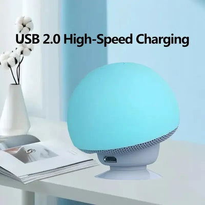 Portable outdoor Bluetooth speaker with subwoofer
