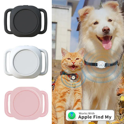 Real-time pet tracking via iOS app