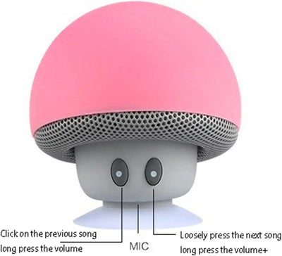 Perfect audio companion for cycling and picnics.