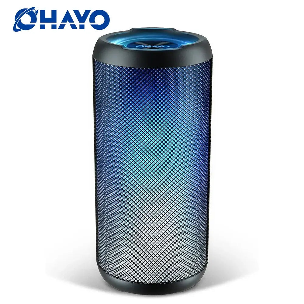 Portable speaker with dynamic LED lights