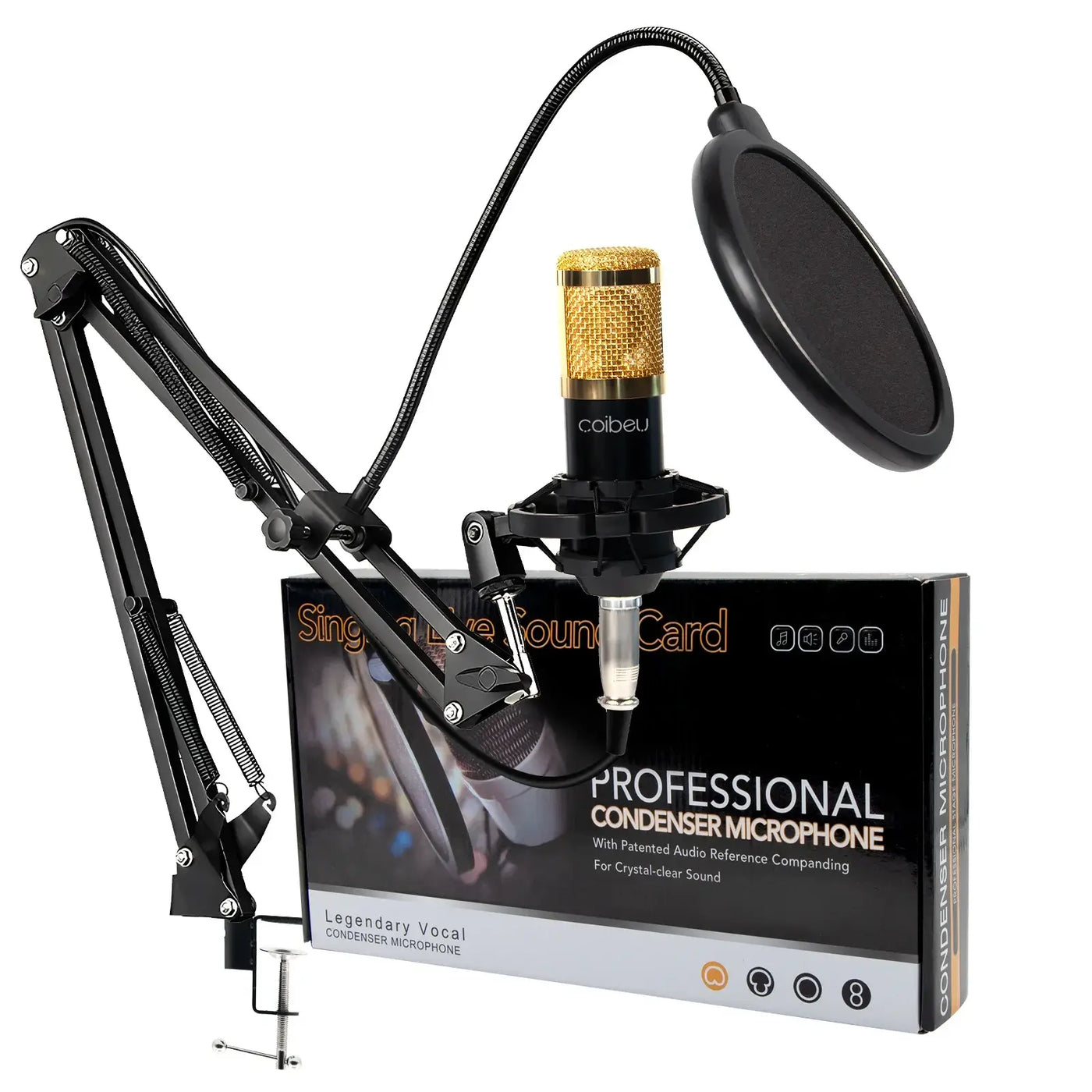 Professional wireless mic for karaoke lovers.