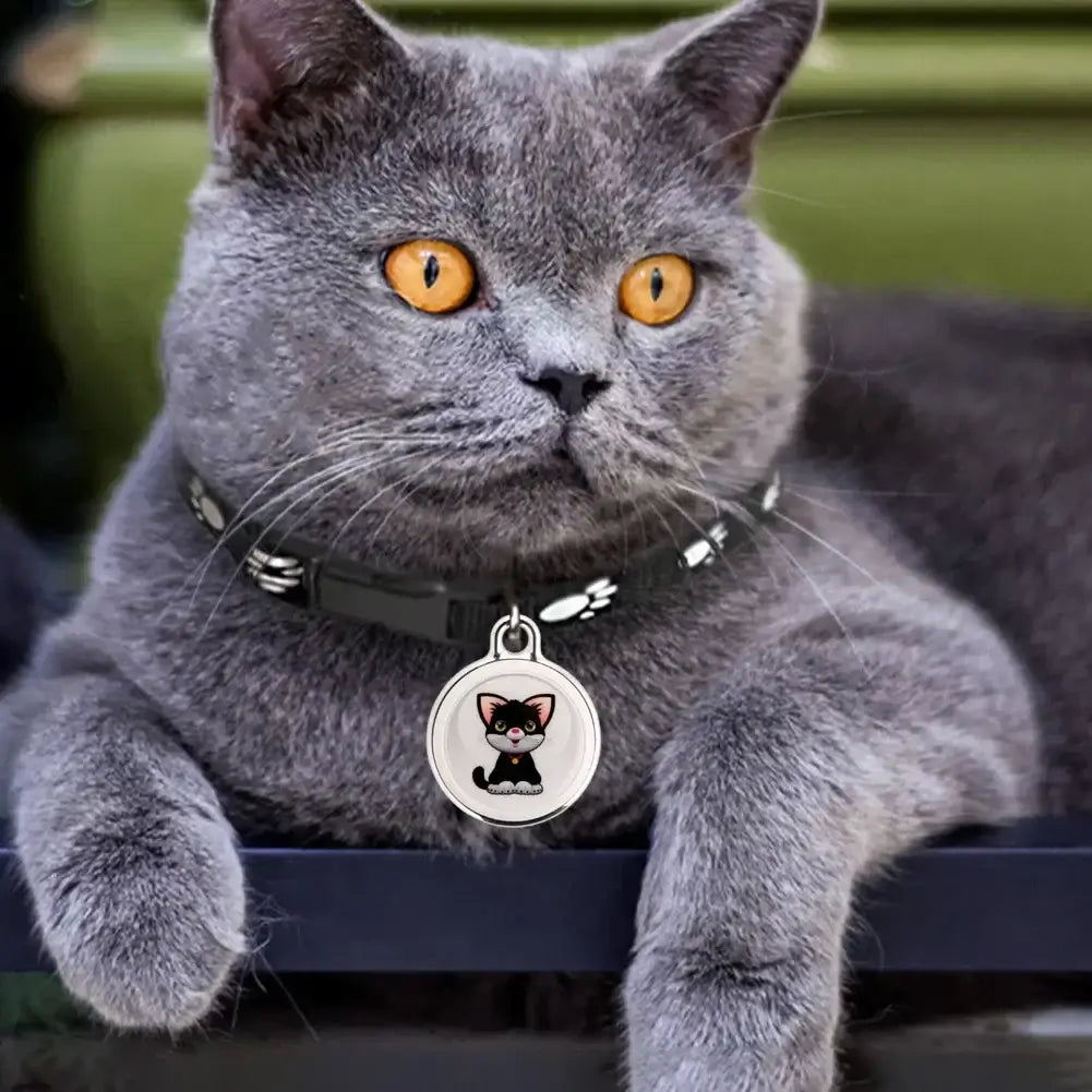 Mini and lightweight for small pets