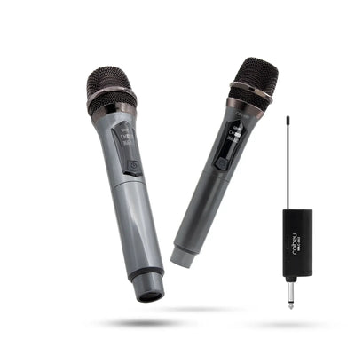 Professional sound with 2 dynamic mics.