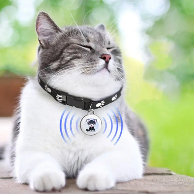 Geo-fence alerts when pet leaves zone
